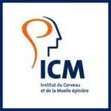 icm