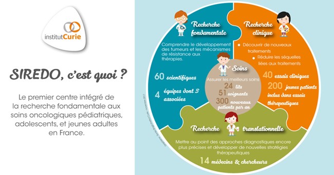 Infographie Institut Curie